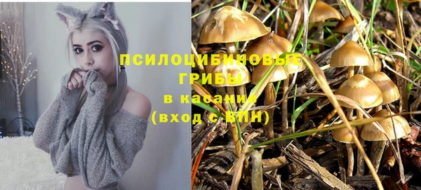 spice Балахна